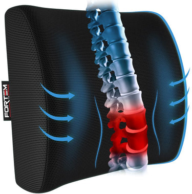 Lumbar Support - Breathable Mesh Cover
